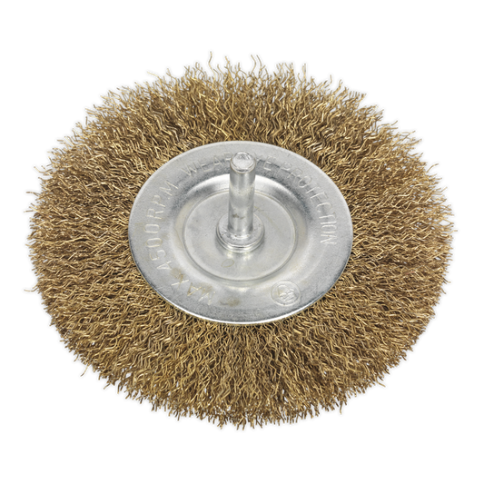 Flat Wire Brush &#216;100mm &#216;6mm Shaft
