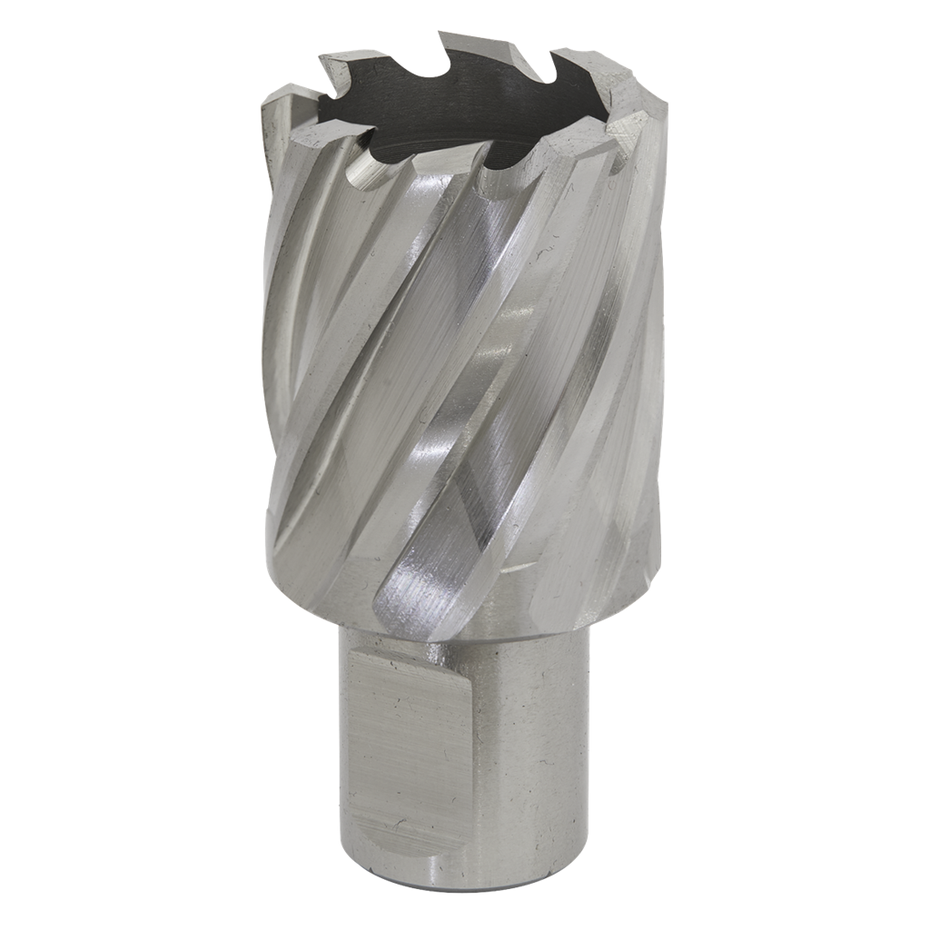 Rotabor Cutter HSS &#216;29mm - Cut Depth 25mm