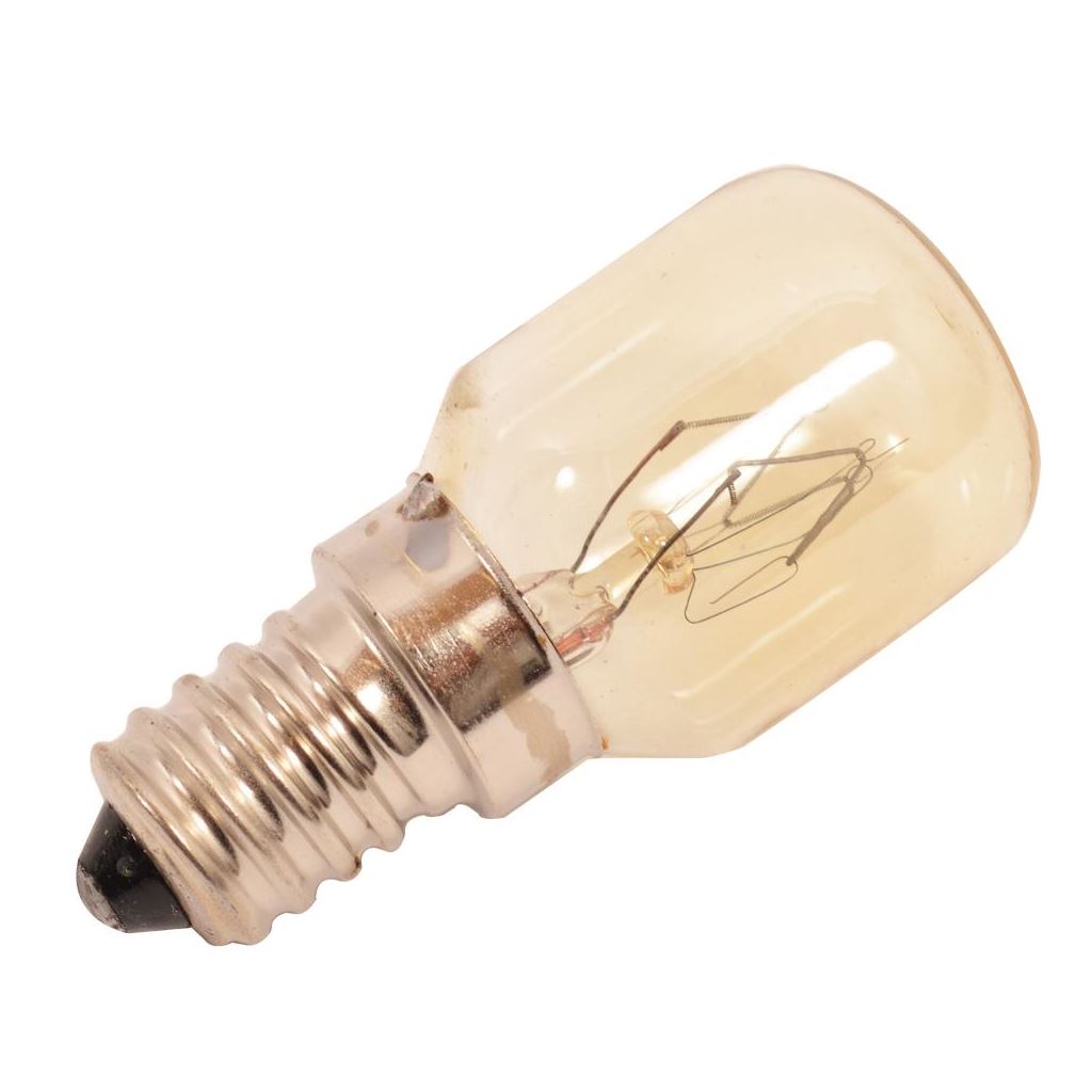 25 Watt Bulb X1