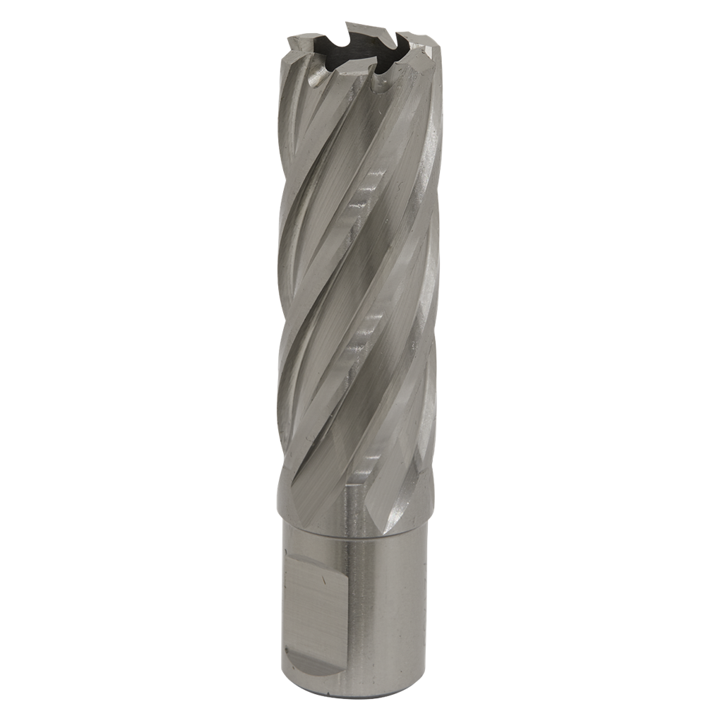 Rotabor Cutter HSS &#216;21mm - Cut Depth 50mm