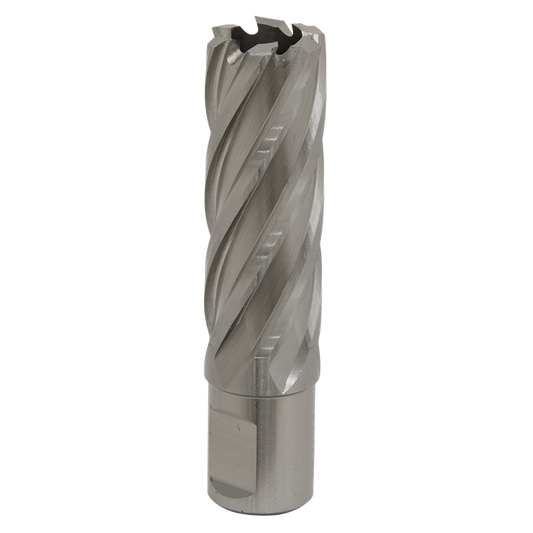 Rotabor Cutter HSS &#216;21mm - Cut Depth 50mm