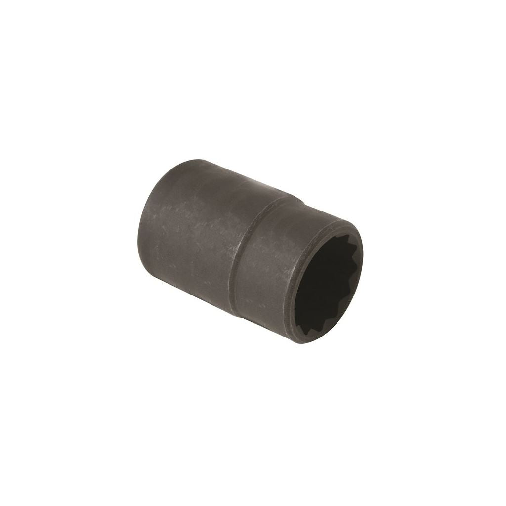 Bi-Hex Special Socket - 24mm - 3/4in. Drive