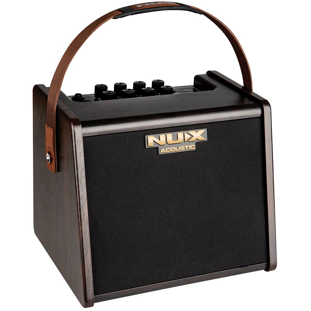 AC-25 Portable Acoustic Amplifier - Guitar